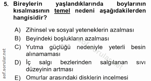 Soru 5
