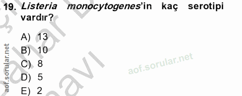 Soru 19