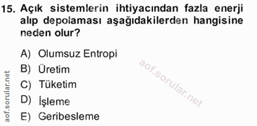 Soru 15