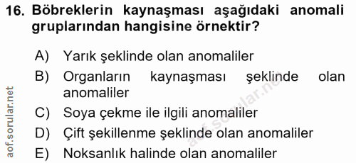 Soru 16