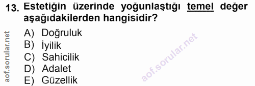 Soru 13