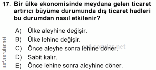 Soru 17