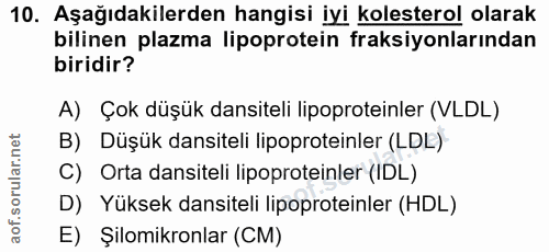 Soru 10