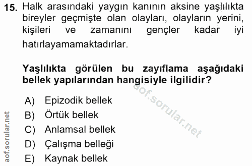 Soru 15