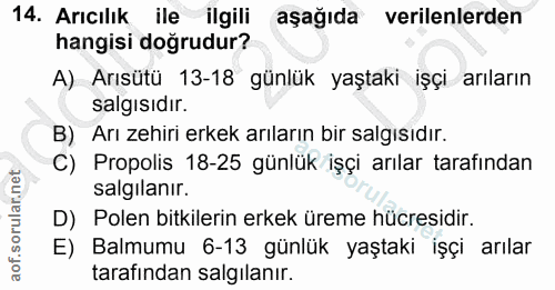 Soru 14