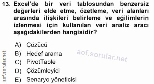 Soru 13