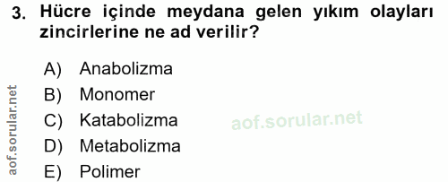 Soru 3