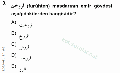 Soru 9
