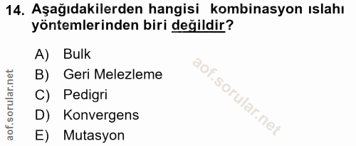 Soru 14