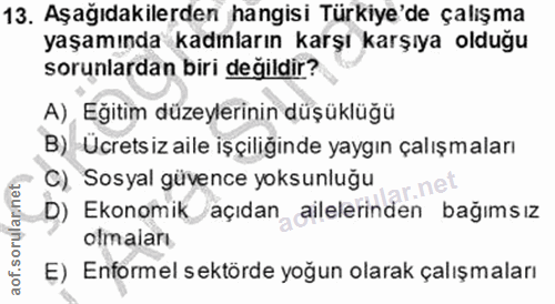 Soru 13