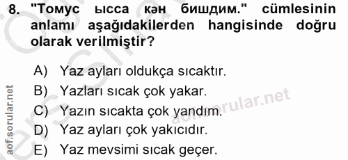 Soru 8