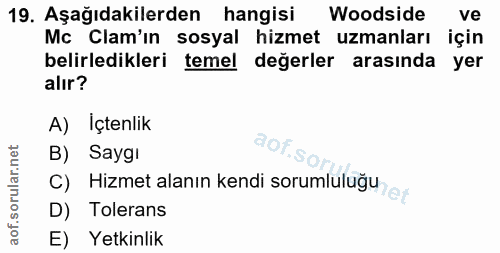 Soru 19