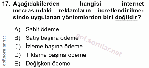 Soru 17