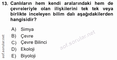 Soru 13