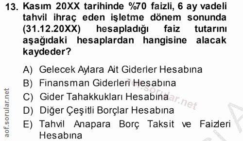 Soru 13
