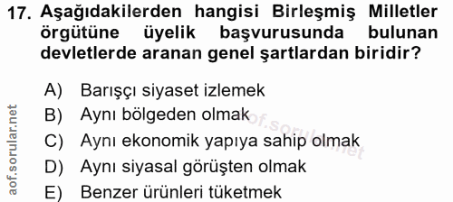 Soru 17
