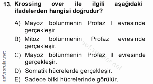 Soru 13