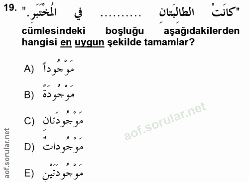 Soru 19