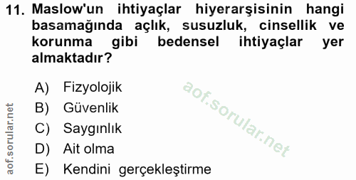 Soru 11