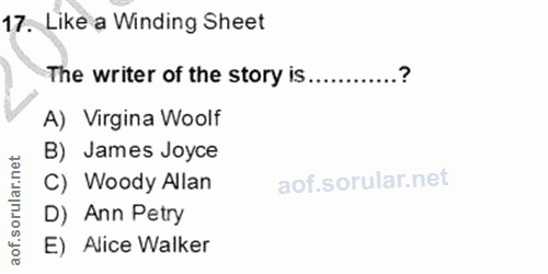 Soru 17