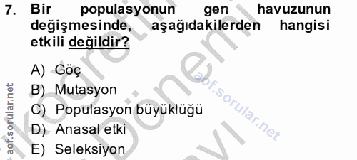 Soru 7