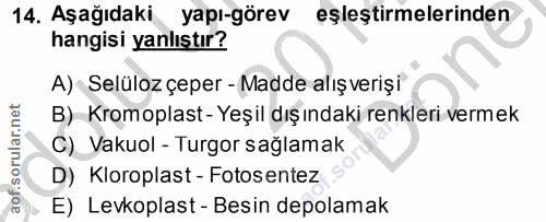 Soru 14