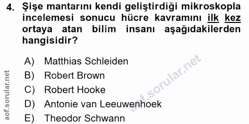 Soru 4