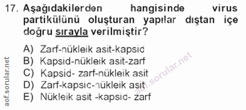 Soru 17