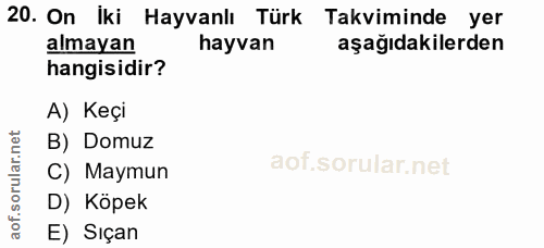 Soru 20