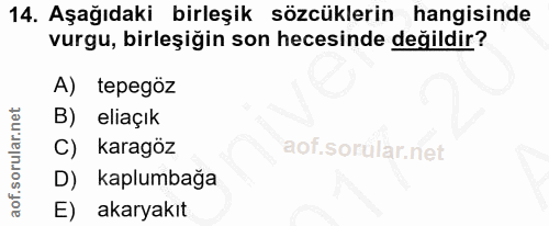 Soru 14