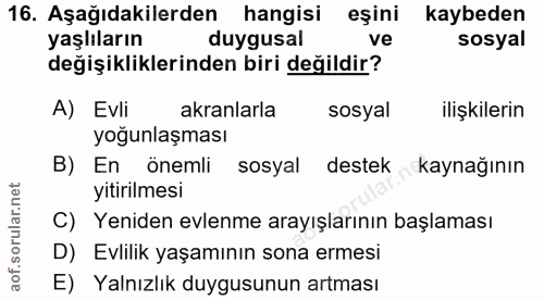 Soru 16