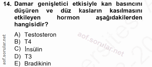 Soru 14