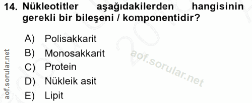 Soru 14