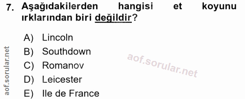 Soru 7