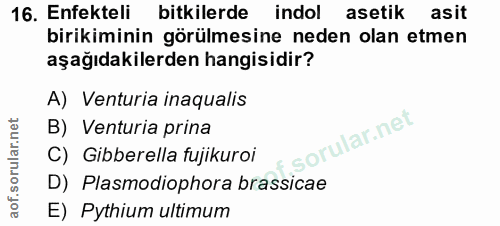 Soru 16
