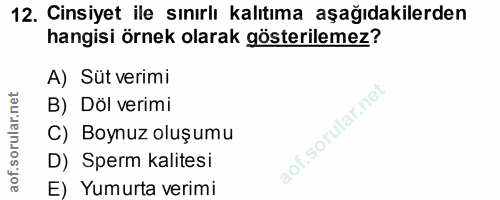 Soru 12