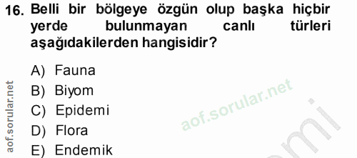 Soru 16