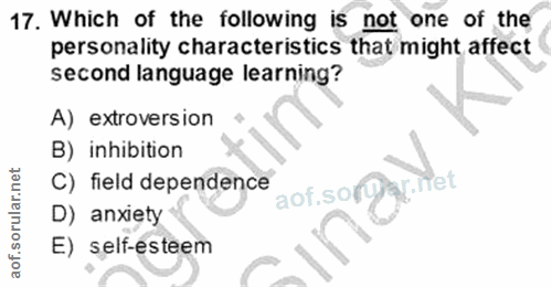 Soru 17