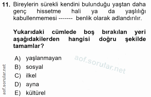 Soru 11