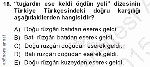Soru 18