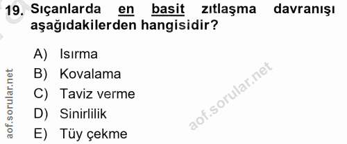 Soru 19