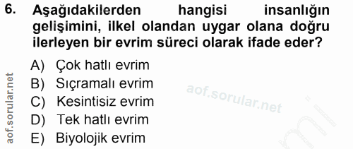 Soru 6