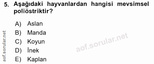 Soru 5