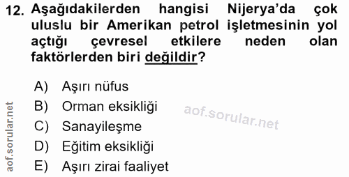 Soru 12