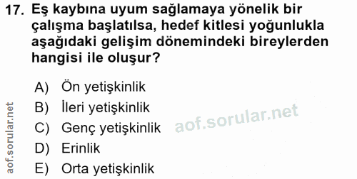 Soru 17