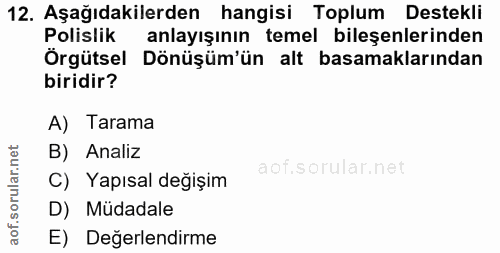 Soru 12