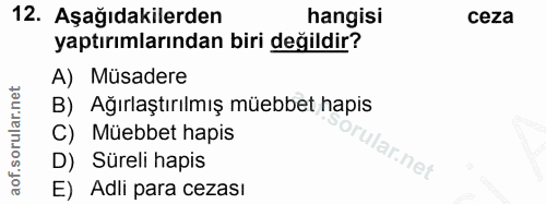Soru 12