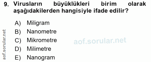 Soru 9