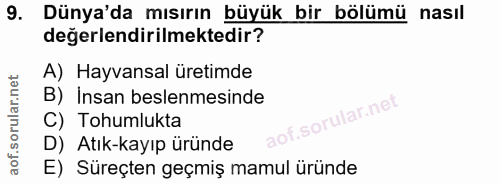 Soru 9
