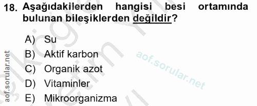Soru 18